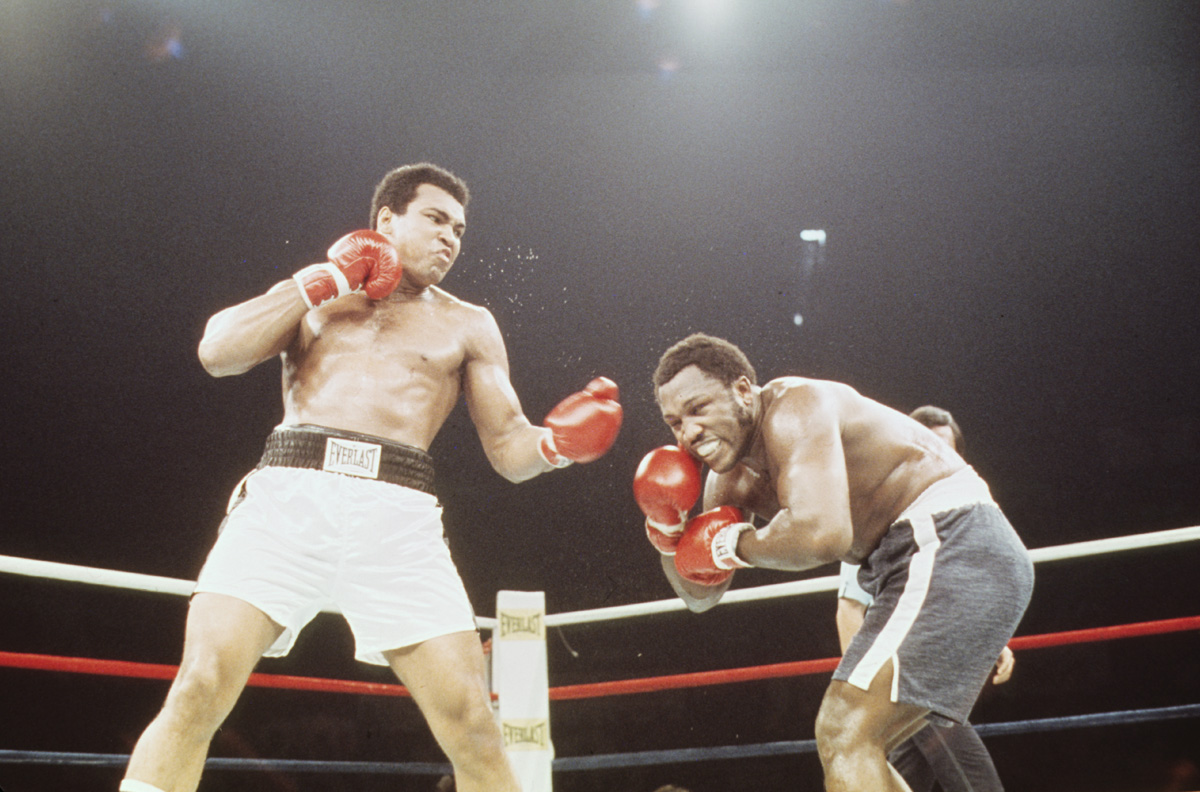 Picture for category For Collectors